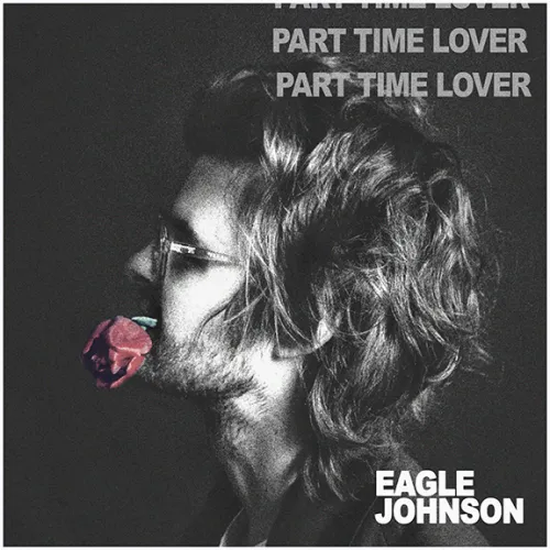 Part Time Lover